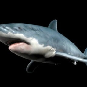 דגם תלת מימד של כריש מפחיד