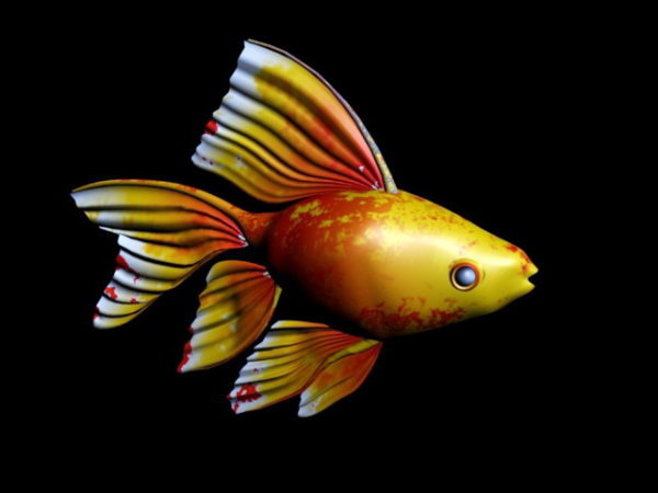 Aquarium goudvis
