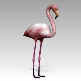 Model 3d Burung Flamingo