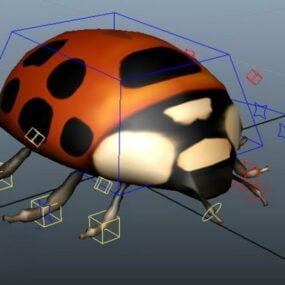 Lady Beetle Rig 3d model