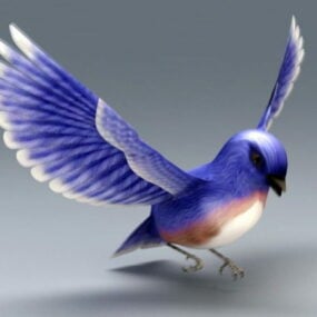 Mô hình 3d Bluebird phương Đông