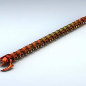 Red Centipede 3d model