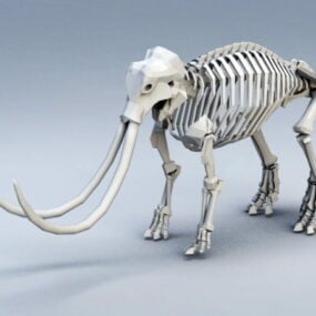 猛犸象骨架3d模型