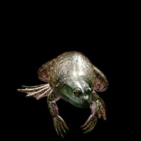 3д модель лягушки-жабы