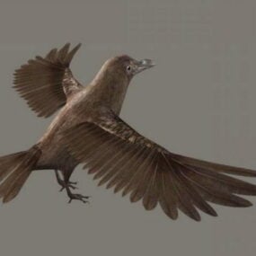 Corbeau brun modèle 3D