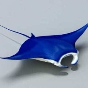Blue Manta Ray 3d model