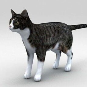 Modelo 3d clássico de gato malhado
