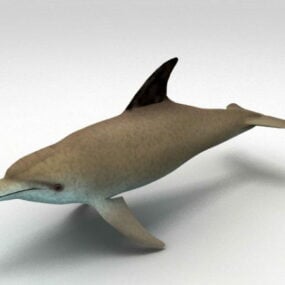 3d модель південноазіатського річкового дельфіна