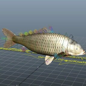 Carp Fish Rig 3d-modell