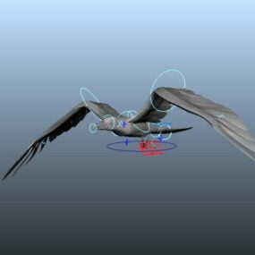 نموذج الرسوم المتحركة النورس الطائر ثلاثي الأبعاد