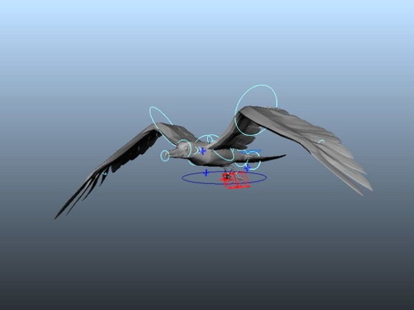 Animation de vol de mouette