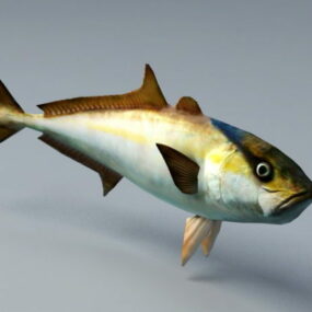 Amberjack Fish Animation 3d model