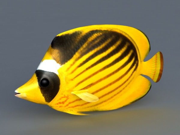 Yellow Ocean Fish