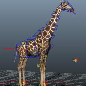 Krásný 3D model Giraffe Rig