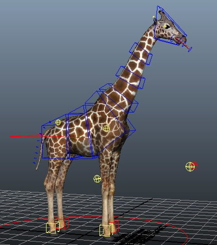 Beautiful Giraffe Rig
