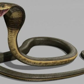 Model 3D węża kobry królewskiej