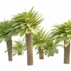 Modelo 3D de palmas de moinho de vento ornamentais