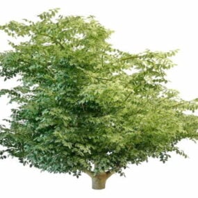 3d модель дерева з різнокольоровим листям