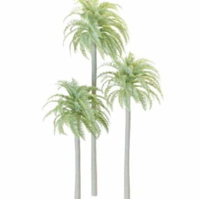 3д модель дикой финиковой пальмы