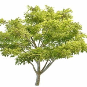 דגם 3D Big Apple Tree