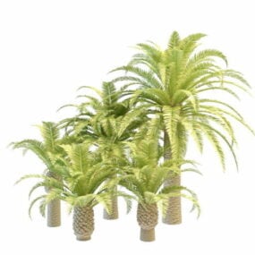 Tropikalna architektura krajobrazu z palmą Phoenix. Model 3D