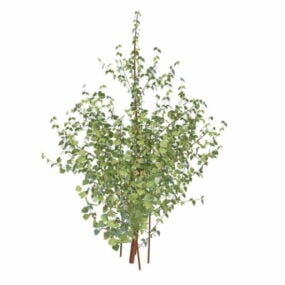 中型灌木植物3d模型