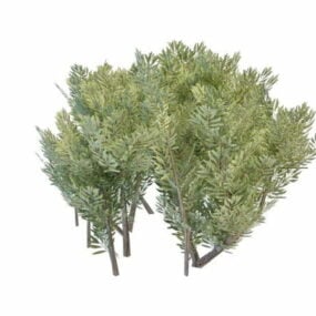 조경 수풀 식물 3d 모델