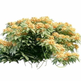Modelo 3d de arbusto de flor de laranjeira