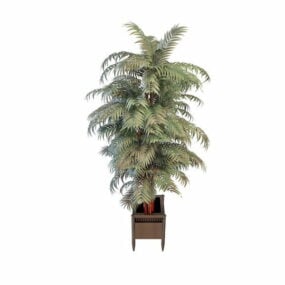 3д модель Райской пальмы и шелкового дерева в горшке