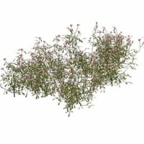 蝴蝶粉红色的花植物3d模型
