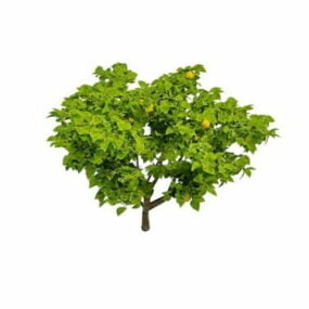 Drakenfruitboom 3D-model