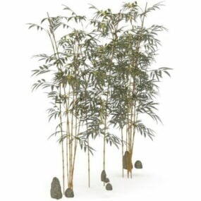 Bamboo Tree Bamboo Plant Bush 3d model