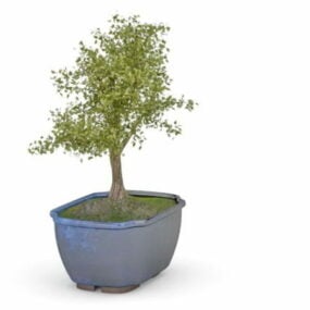 Árbol Bonsai En Maceta Azul Modelo 3d