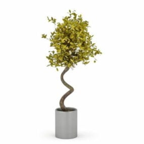 Evergreen Tree In Pot 3d model