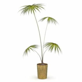 Fan Palm Tree In Yellow Pot 3d model