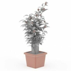 Fruitboom In Pot 3D-model