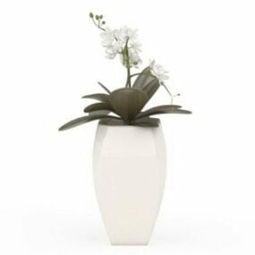 Fresh White Flowers In Pot 3d model