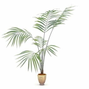 Kentia Palm Tree In Pot 3d-modell