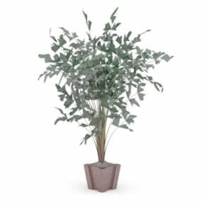 남비 야자 식물 3d 모델