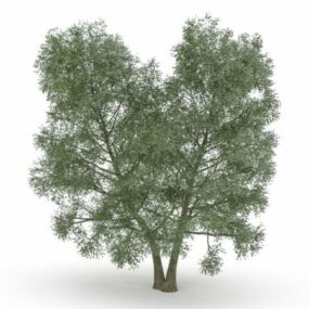 3д модель Дерева-близнеца