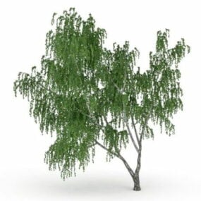 3D model čínského stromu