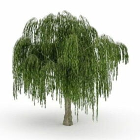 Large Weeping Willow Tree 3d model