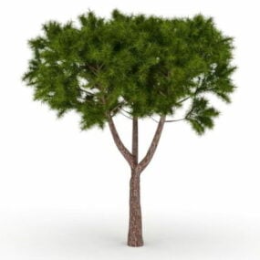 Modelo 3D da árvore cipreste marroquina