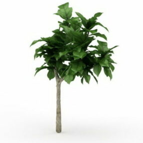3д модель карликового декоративного дерева