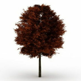 Red Maple Tree 3d model