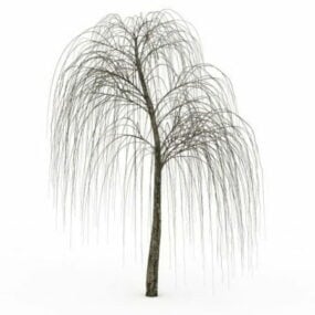 Bare Willow Tree 3d model