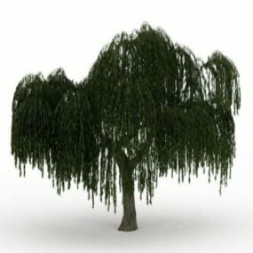 Weeping Willow Tree 3d-modell