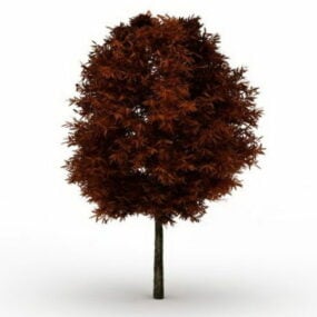 Northern Red Oak Tree 3d model