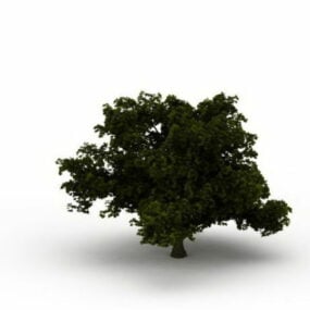 Dwarf Tree With Thick Branches 3d model