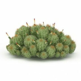 Cactus Plant Pot On Table 3d model